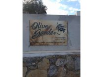 Olive Garden Site Kamera Montajı
